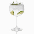 Gin Balloon Stemmed Glass 675 ml, Set of 2