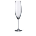 Gastro/Colibri Champagne Flute Stemmed Glass 220ml, Set of 6