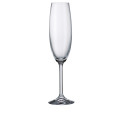 Gastro/Colibri Champagne Flute Stemmed Glass 220 ml, Set of 6