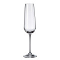 Amundsen/Ardea Flute 220 ml, Set of 6
