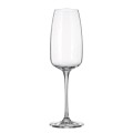 Anas Stemmed Flute Glass 290 ml, Set of 6