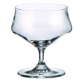 Cettia Ice Cream/Sherbet Coupe 295 ml, Set of 6
